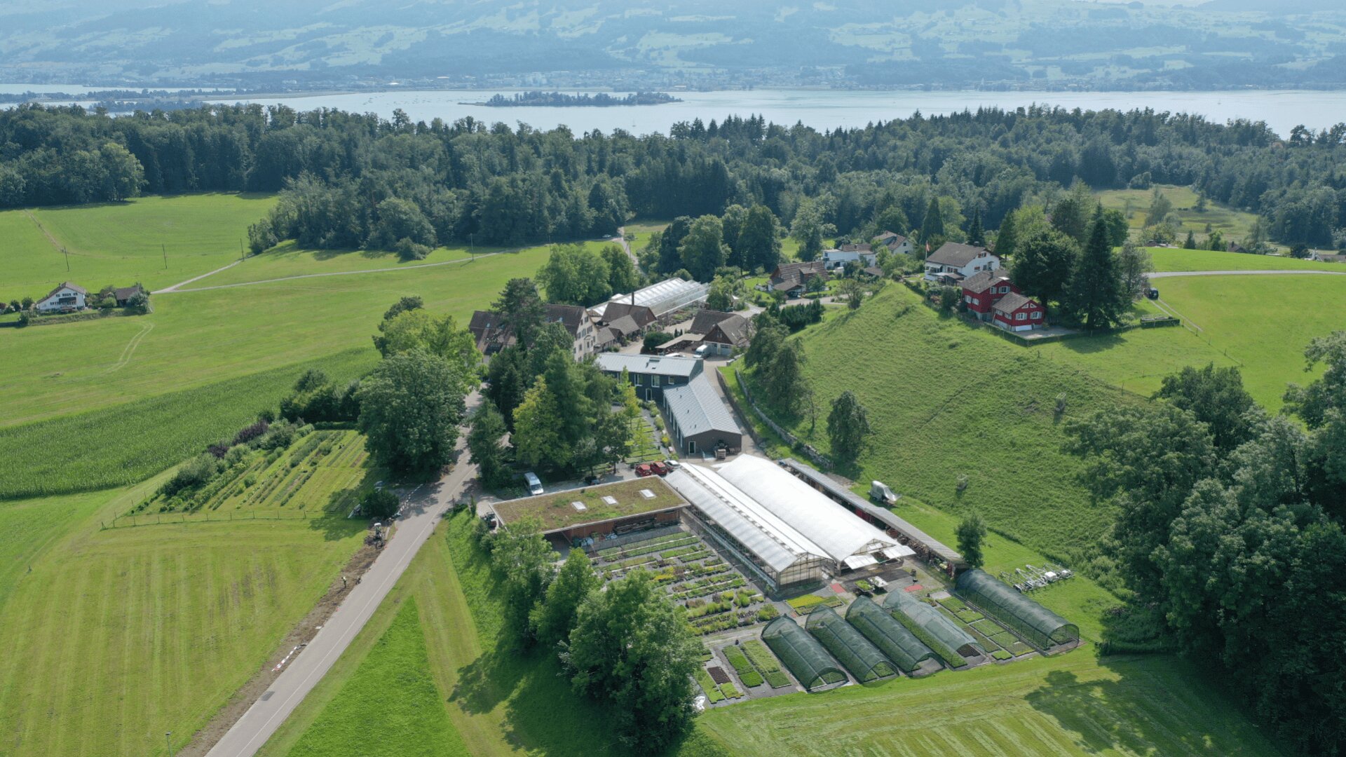 Luftaufnahme eines ländlichen Bauernhofs mit Gewächshäusern, Gärten und mehreren Gebäuden, umgeben von Feldern, Bäumen und Hügeln, mit einem See und Bergen im Hintergrund.