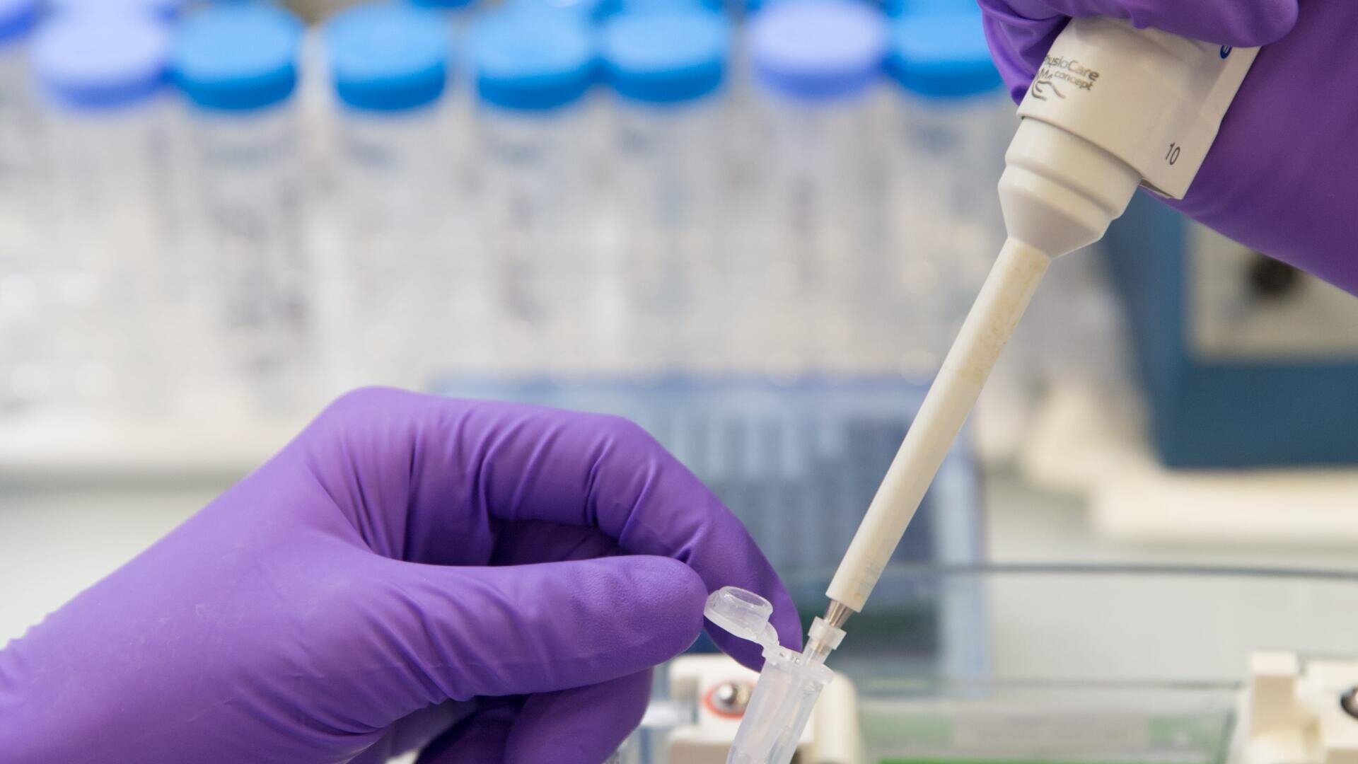 Eine Person mit lilafarbenen Handschuhen überführt in einem Labor Flüssigkeit mit einer Pipette in ein kleines Reagenzglas, wobei im unscharfen Hintergrund mehrere verschlossene Fläschchen zu sehen sind.