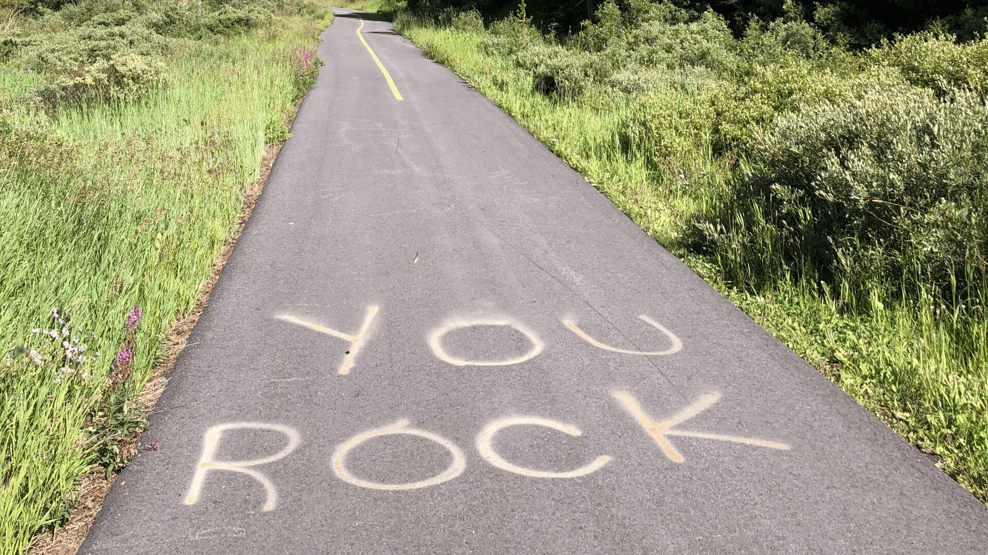 Auf einem gepflasterten Weg durch eine Grünanlage ist in großen gelben Buchstaben YOU ROCK auf den Asphalt gesprüht worden.