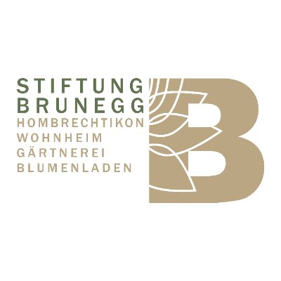 Logo Stiftung Brunegg