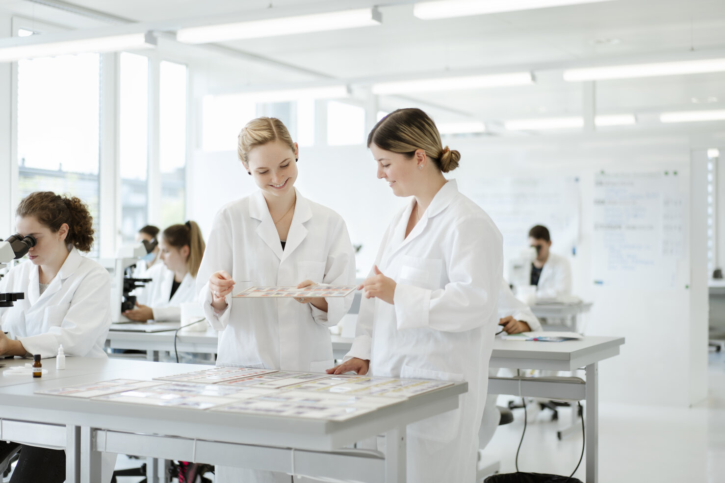 Mehrere Personen in weißen Laborkitteln arbeiten in einem hellen Labor. Zwei Frauen im Vordergrund untersuchen Probentabletts, während andere im Hintergrund mit Mikroskopen und Computern arbeiten.
